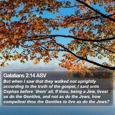 Galatians 2:14 ASV Bible Verse Image