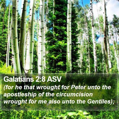 Galatians 2:8 ASV Bible Verse Image