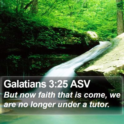 Galatians 3:25 ASV Bible Verse Image