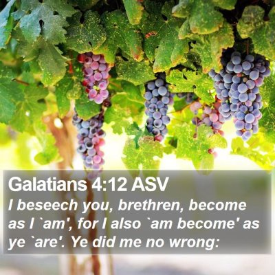 Galatians 4:12 ASV Bible Verse Image