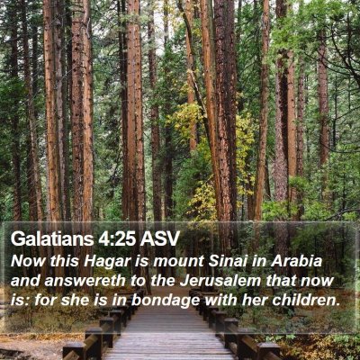Galatians 4:25 ASV Bible Verse Image