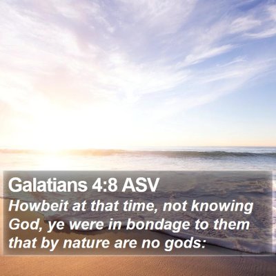 Galatians 4:8 ASV Bible Verse Image