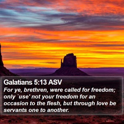 Galatians 5:13 ASV Bible Verse Image