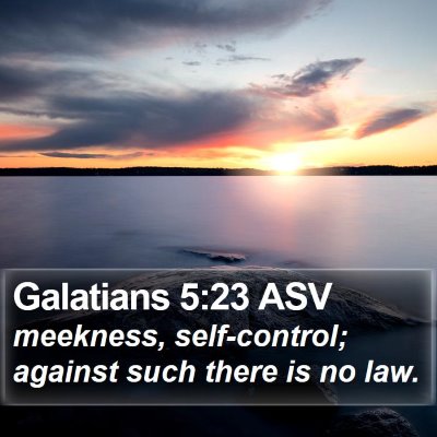 Galatians 5:23 ASV Bible Verse Image