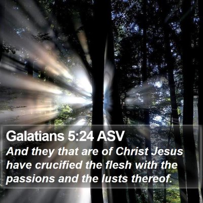 Galatians 5:24 ASV Bible Verse Image