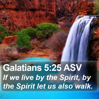 Galatians 5:25 ASV Bible Verse Image