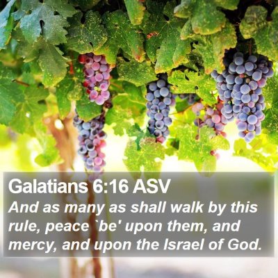 Galatians 6:16 ASV Bible Verse Image