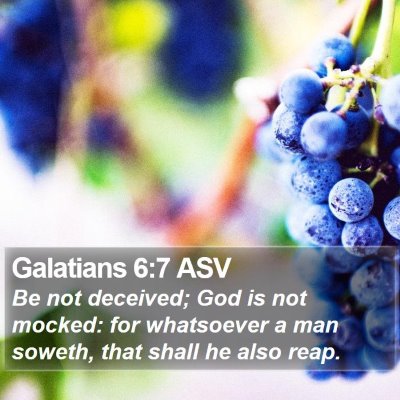 Galatians 6:7 ASV Bible Verse Image