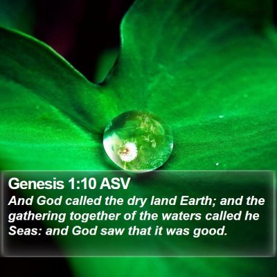 Genesis 1:10 ASV Bible Verse Image