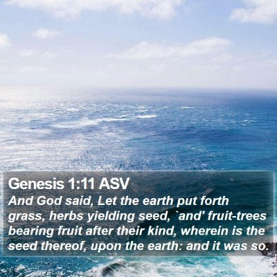 Genesis 1:11 ASV Bible Verse Image
