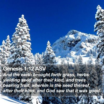 Genesis 1:12 ASV Bible Verse Image