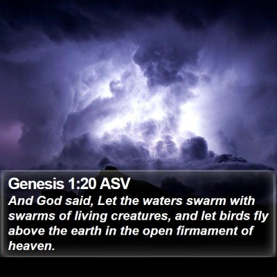 Genesis 1:20 ASV Bible Verse Image
