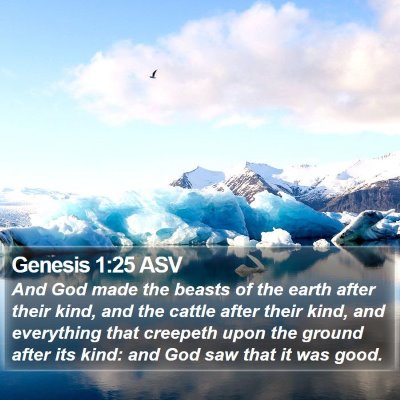 Genesis 1:25 ASV Bible Verse Image