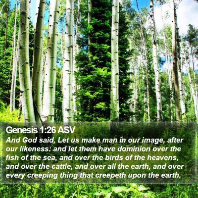 Genesis 1:26 ASV Bible Verse Image