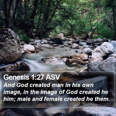 Genesis 1:27 ASV Bible Verse Image