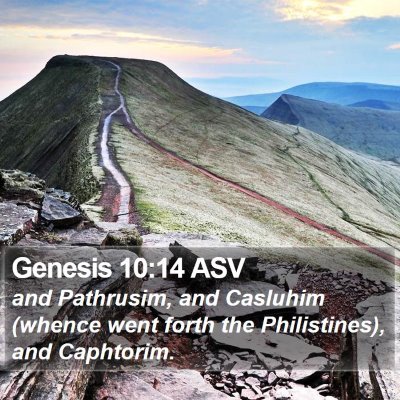 Genesis 10:14 ASV Bible Verse Image