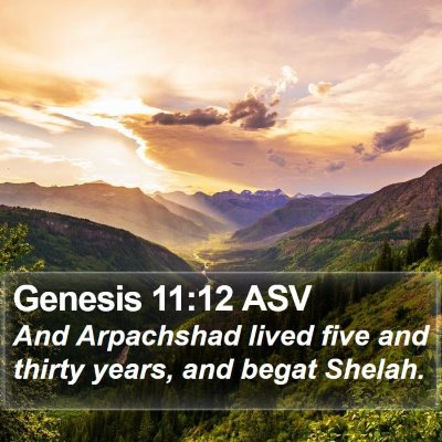 Genesis 11:12 ASV Bible Verse Image