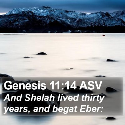 Genesis 11:14 ASV Bible Verse Image