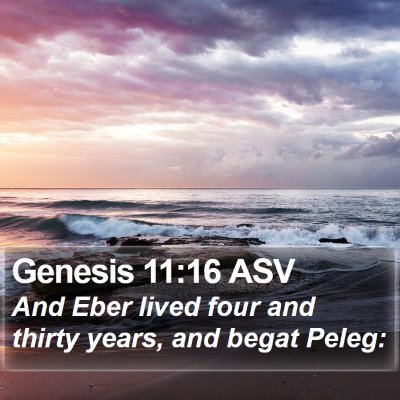 Genesis 11:16 ASV Bible Verse Image