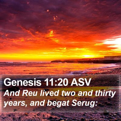Genesis 11:20 ASV Bible Verse Image