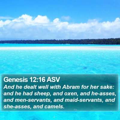 Genesis 12:16 ASV Bible Verse Image