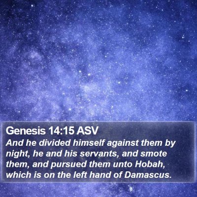 Genesis 14:15 ASV Bible Verse Image