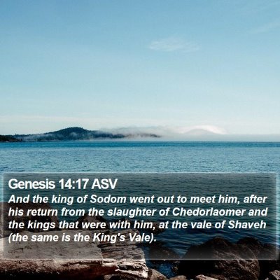 Genesis 14:17 ASV Bible Verse Image