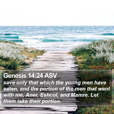 Genesis 14:24 ASV Bible Verse Image