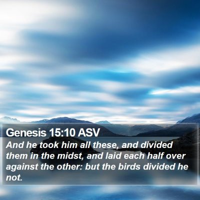 Genesis 15:10 ASV Bible Verse Image