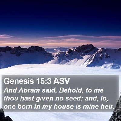 Genesis 15:3 ASV Bible Verse Image