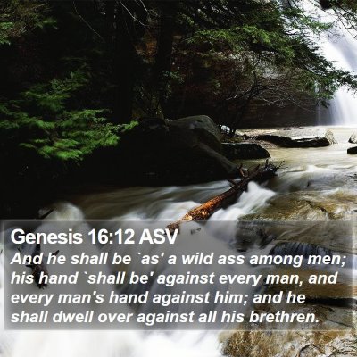 Genesis 16:12 ASV Bible Verse Image
