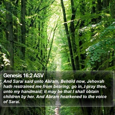 Genesis 16:2 ASV Bible Verse Image