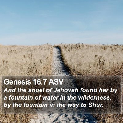 Genesis 16:7 ASV Bible Verse Image