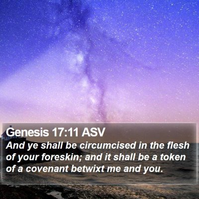 Genesis 17:11 ASV Bible Verse Image