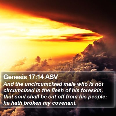 Genesis 17:14 ASV Bible Verse Image