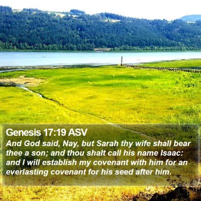 Genesis 17:19 ASV Bible Verse Image