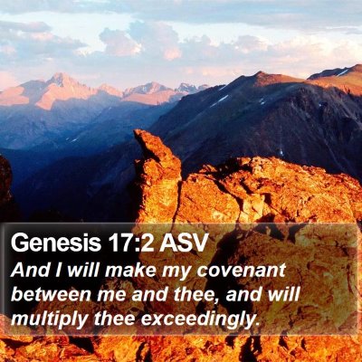 Genesis 17:2 ASV Bible Verse Image