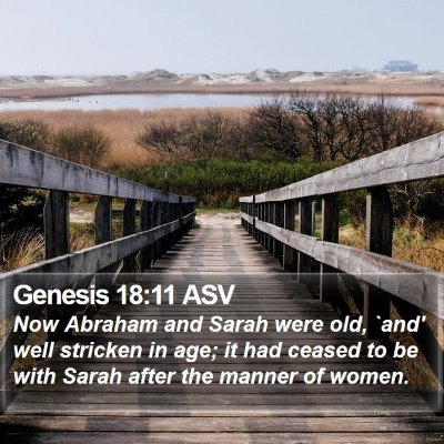 Genesis 18:11 ASV Bible Verse Image