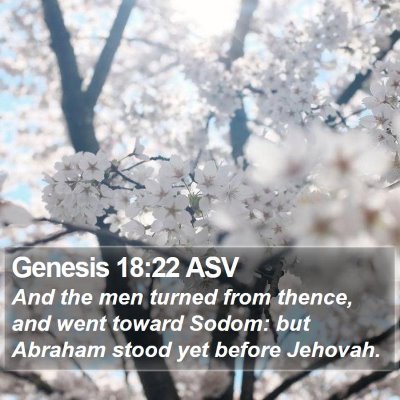 Genesis 18:22 ASV Bible Verse Image