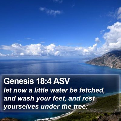 Genesis 18:4 ASV Bible Verse Image