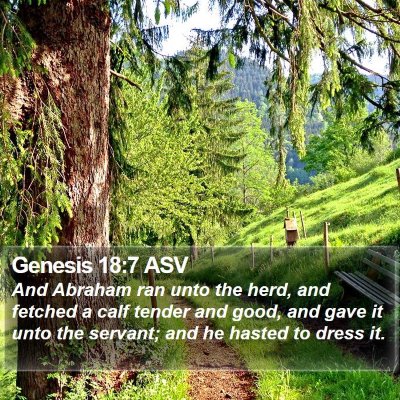 Genesis 18:7 ASV Bible Verse Image