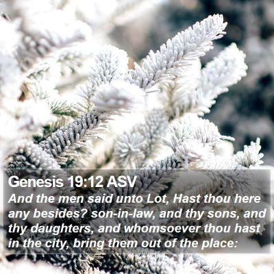 Genesis 19:12 ASV Bible Verse Image