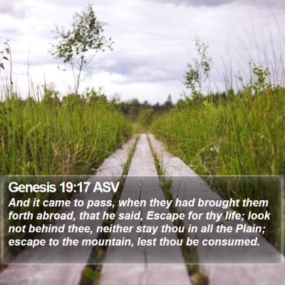 Genesis 19:17 ASV Bible Verse Image