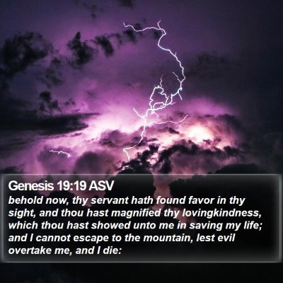 Genesis 19:19 ASV Bible Verse Image