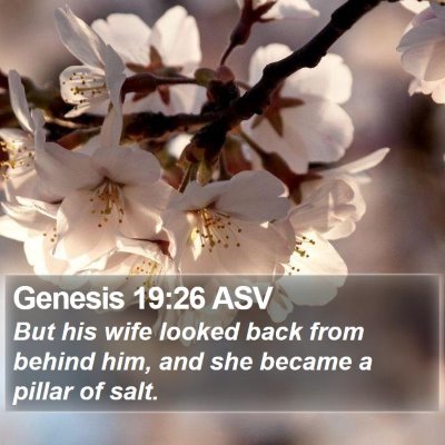 Genesis 19:26 ASV Bible Verse Image