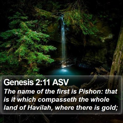 Genesis 2:11 ASV Bible Verse Image