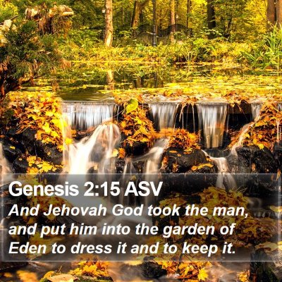 Genesis 2:15 ASV Bible Verse Image