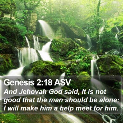 Genesis 2:18 ASV Bible Verse Image