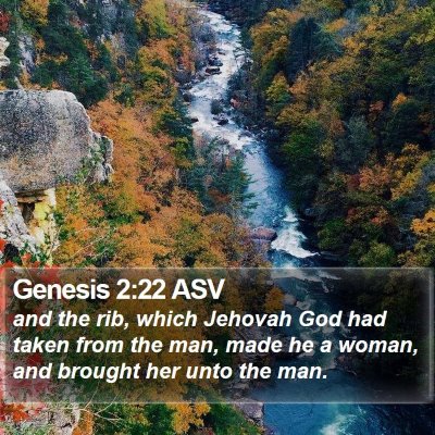 Genesis 2:22 ASV Bible Verse Image
