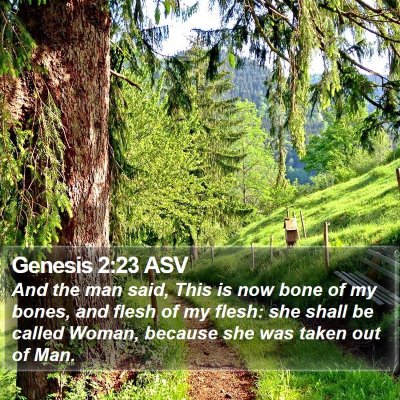 Genesis 2:23 ASV Bible Verse Image